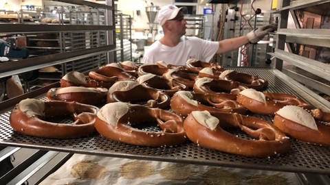 In der Bäckerei Voss werden täglich rund 3000 Brezeln gebacken