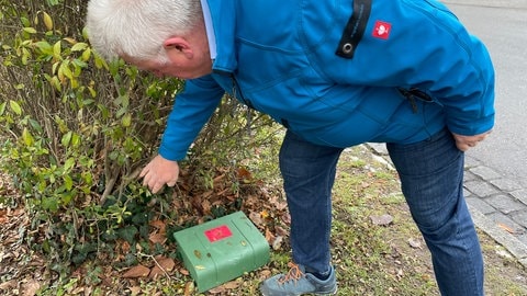 Herrenberg hat derzeit mit Ratten zu kämpfen. (Foto: SWR) Herrenberg hat derzeit mit Ratten zu kämpfen.