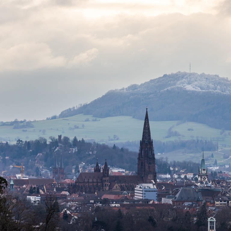 Freiburg verzeichnet Besucherrekord