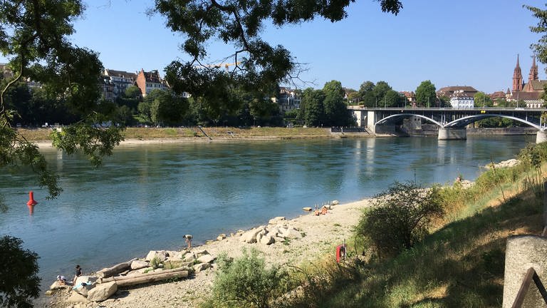 Blick auf den Rhein aus dem Schatten 