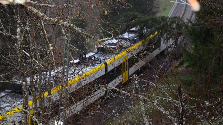 Ein Regionalzug war bei Friedenweiler gegen einen auf die Gleise gefallenen Baum gefahren. Durch die Kollision fing der Baum in der Oberleitung Feuer. (Foto: Kamera24)