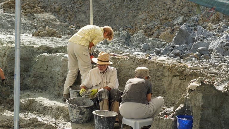 Forscher von der Uni Tübingen nehmen an einem Fels Ausgrabungen vor. Menschenaffen und 150 weitere Wirbeltierarten wurden in der "Hammerschmiede" im Allgäu schon entdeckt. Und: Krallentiere. 