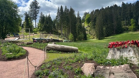 Ein neuer Spielplatz bei der Gartenschau Freudenstadt und Baiersbronn. (Foto: SWR, Markus Beschorner, Peter Binder) Ein neuer Spielplatz bei der Gartenschau Freudenstadt und Baiersbronn.