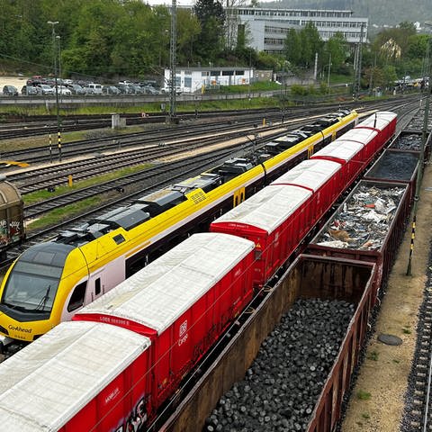 Die roten Containerwaggons der DB-Cargo stehen im Bahnhof Aalen (Foto: SWR, Foto: Justus Madaus)