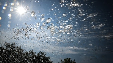 Welche Unternehmen dürfen in Rheinland-Pfalz Grundwasser entnehmen. Wer das Wasser bekommt und wieviel ist eine wichtige Frage in Zeiten von KLimawandel, Hitze und Trockenheit (Foto: dpa Bildfunk, Picture Alliance)