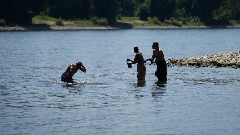 Badegäste genießen das heiße Frühsommerwetter im Wasser des Rheins