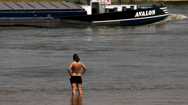 Eine Frau steht im Rhein (Foto: dpa Bildfunk, picture alliance/dpa | Oliver Berg)