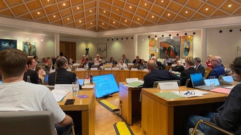Stadtratssitzung in Landau (Foto: SWR) Stadtratssitzung in Landau
