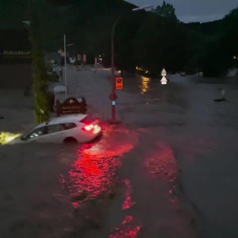 Auto wird von der Überschwemmung mitgerissen (Foto: SWR)