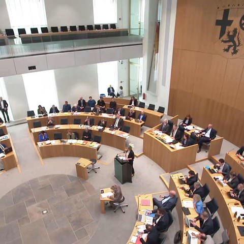 Landtag (Foto: SWR)