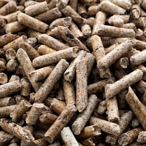 Eine Familie in Waldmohr hat zahlreiche Holzpellets bestellt. Die sorgten für erhöhte Kohlenmonoxid-Werte. Die Feuerwehr war im Einsatz.  (Foto: picture-alliance / Reportdienste, Picture Alliance)