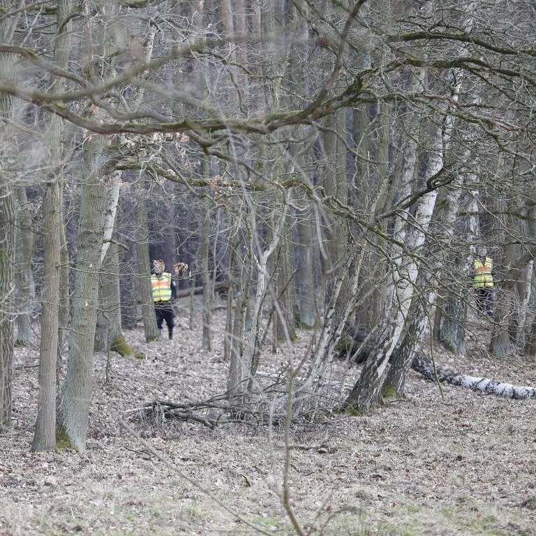Die Polizei durchsucht ein Waldgebiet bei Zweibrücken nach einem vermissten Mann. (Foto: IMAGO, IMAGO / Pacific Press Agency)