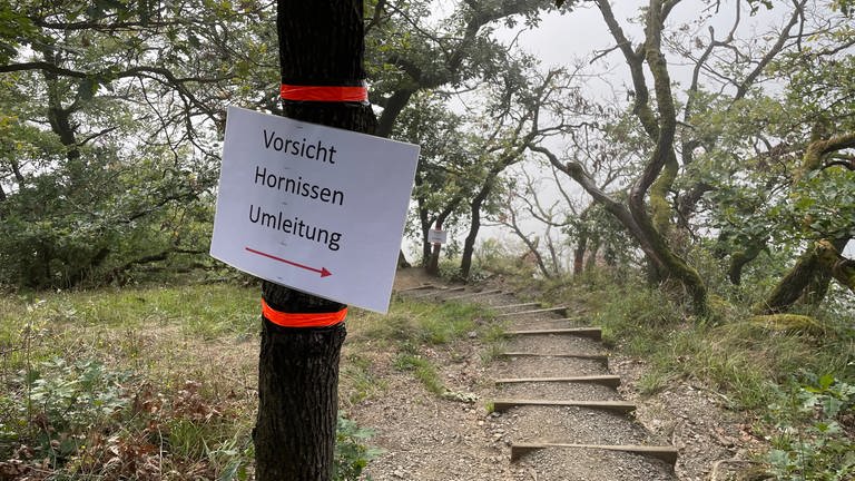 Umleitungsschild mit Warnung vor Hornissen am Klettersteig in Boppard. (Foto: SWR)