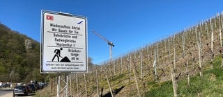 Bei Marienthal an der Ahr sind zwei neue Brücken per Kran auf ihre Pfeiler gesetzt worden. Über diese Brücken soll künftig der Ahrtal-Radweg führen. Die alten Bauwerke waren bei der Flutkatastrophe 2021 zerstört worden. (Foto: SWR) Bei Marienthal an der Ahr sind zwei neue Brücken per Kran auf ihre Pfeiler gesetzt worden. Über diese Brücken soll künftig der Ahrtal-Radweg führen. Die alten Bauwerke waren bei der Flutkatastrophe 2021 zerstört worden.