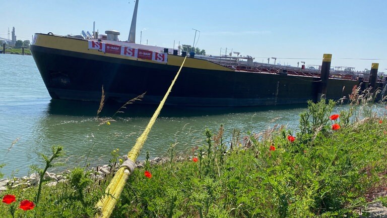 Niedrigwasser Schiff BASF (Foto: SWR)