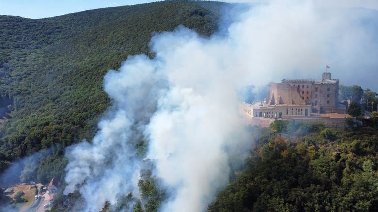 Rauch steigt aus einem Wald beim Hambacher Schloss auf, wo ein größeres Stück Wald gebrannt hat.