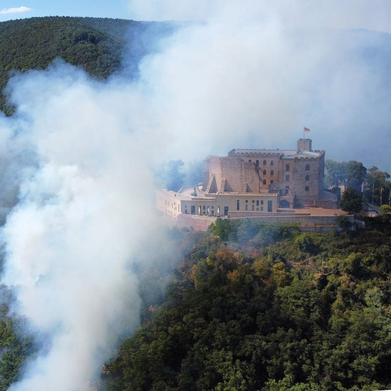 Rauch steigt aus einem Wald beim Hambacher Schloss auf, wo ein größeres Stück Wald gebrannt hat.