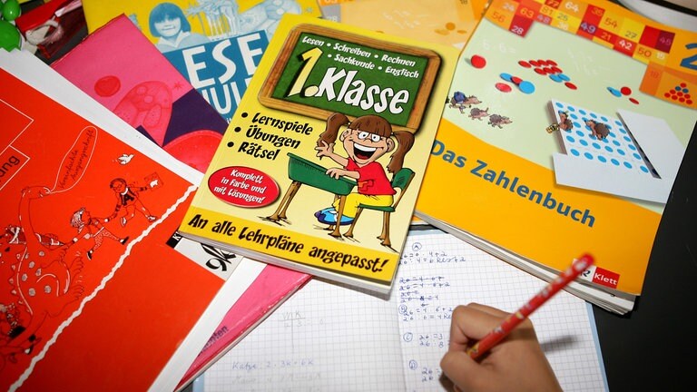 Seit 2010 ist Hugendubel Fachinformationen für die Schulbuch-Ausleihe in RLP verantwortlich. (Foto: dpa Bildfunk, picture-alliance/ dpa | Achim Scheidemann)