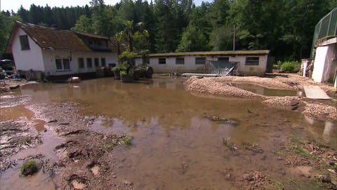 Das Hochwasser Mitte Juli hat im Eifel-Zoo Lünebach Wege überschwemmt und verschlammt.