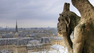 Virginie Despentes: Liebes Arschloch