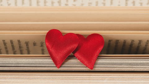 Zwei rote Herzen liegen auf einem aufgefächerten Buch. 
