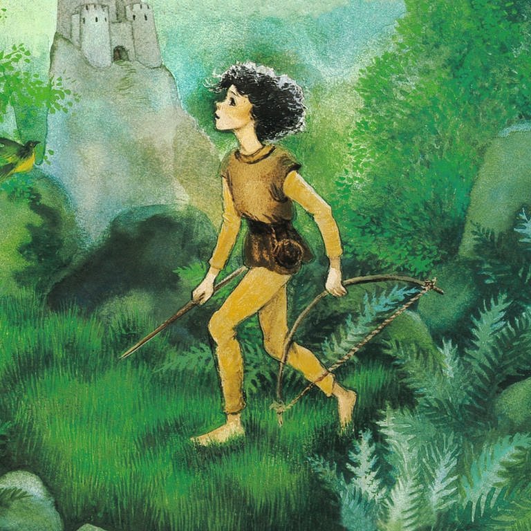 Cover des Buches "Ronja Räubertochter"