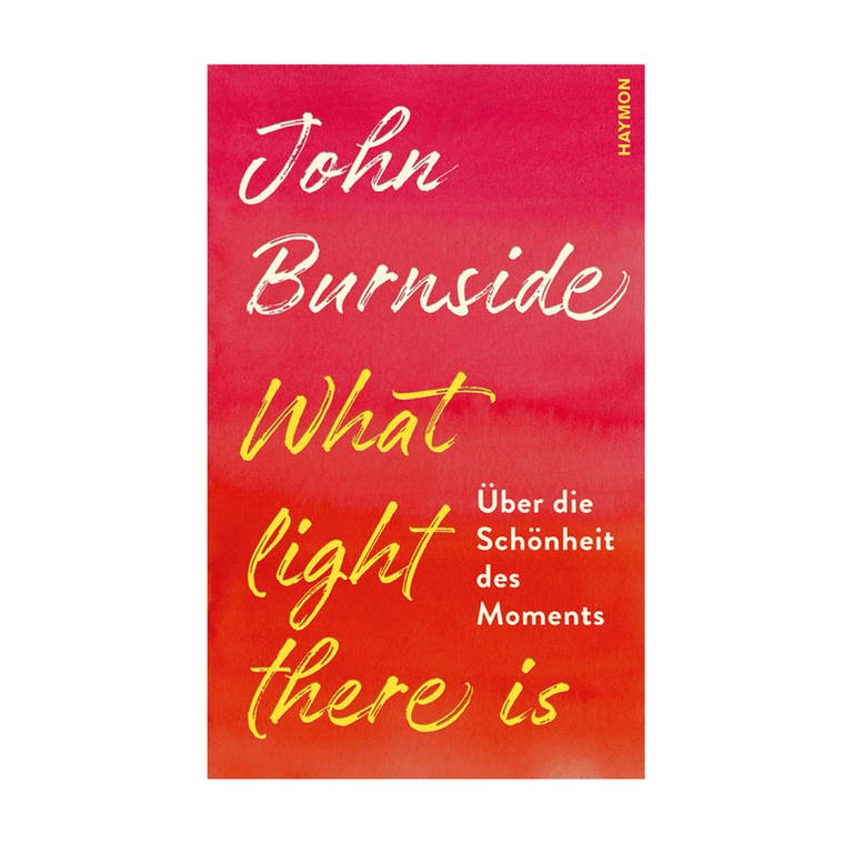 Cover des Buches John Burnside: What light there is. Über die Schönheit des Moments