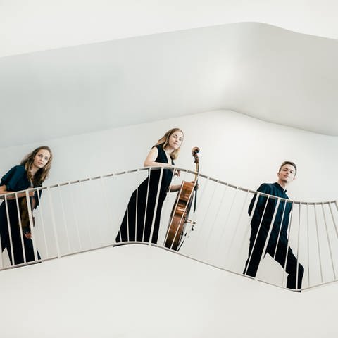 Preisträger des ARD-Musikwettbewerbs: Amelio Trio