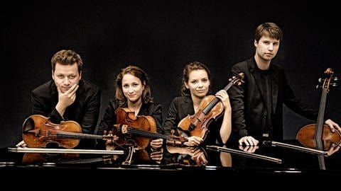 Armida Quartett (Foto: Felix Broede)