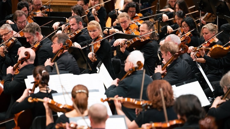 SWR Symphonieorchester (Foto: Nils Wagner) SWR Symphonieorchester