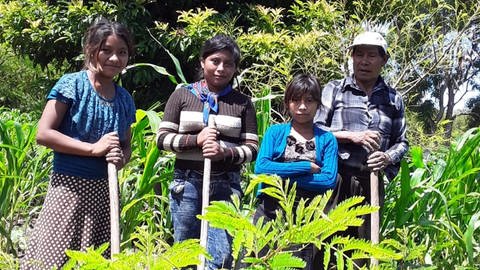 Der Handwerker Juan verließ sein Dorf in Guatemala, in der Grenzregion zu Mexiko, am 27. Juni 2007, mit Ziel USA. Am 14. Juli meldete er sich per Telefon: Er hatte es bis kurz vor die US-Grenze geschafft. Seither sucht ihn seine Familie. (Foto mit freundlicher Genehmigung der Familie Hernández Torres)