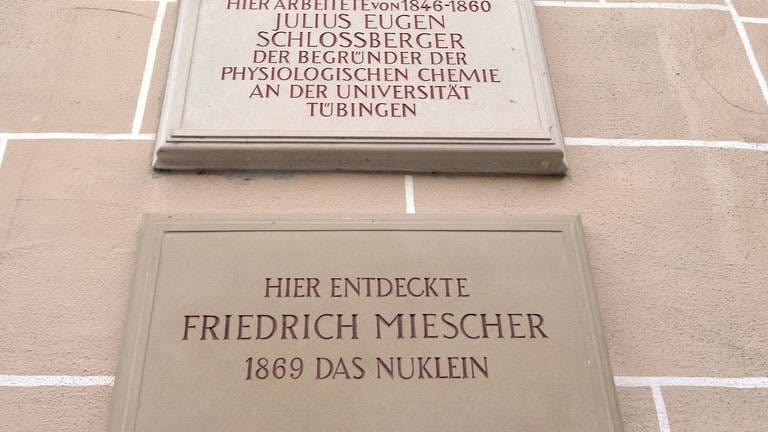 Gedenktafel an der Uni Tübingen: "Hier entdeckte Friedrich Niescher 1869 das Nuklein"