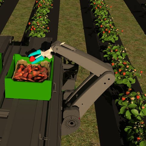 Die Animation zeigt, wie der Erdbeerpflückroboter am Ende arbeiten soll. Zwei Arme greifen alle drei Sekunden eine Erdbeere.