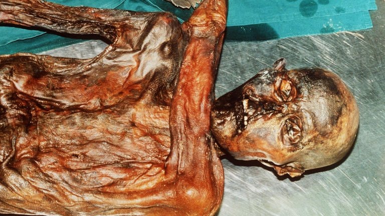 Die mumifizierte, rund 5000 Jahre alte Leiche "Ötzi", die am 19. September 1991 im Gletschergebiet der südtiroler Alpen von deutschen Urlaubern gefunden wurde (Archivbild vom September 1991)