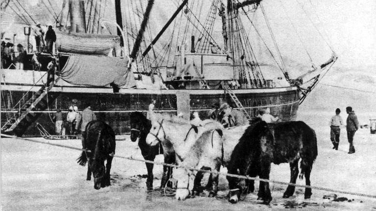 Vor dem im Eis festliegenden Expeditionsschiff "Gustav Holm" stehen isländische Ponys, die bei der deutschen Grönlandexpedition in den Jahren 1929 und 1930 als Zugtiere Verwendung fanden. 1929 brach eine deutsche Grönlandexpedition ins Innere Grönlands zur Erforschung des Inlandeises auf. Die Expedition endete im November 1930 mit dem Tod des Leiters Professor Alfred Wegener.