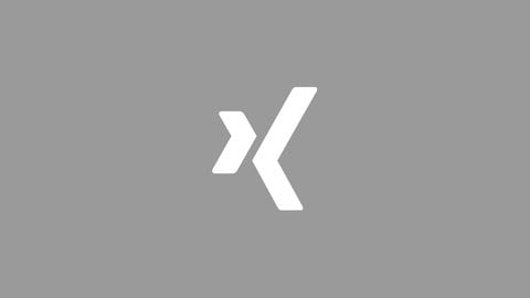 Das Bild zeigt das Logo von Xing (Foto: SWR)
