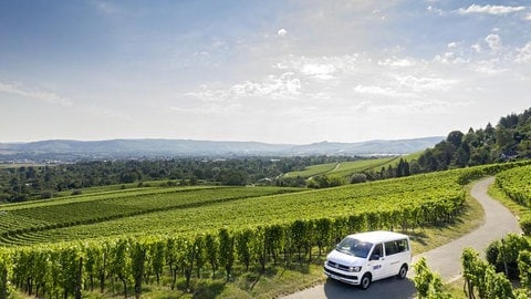 Das Bild zeigt ein SWR Fahrzeug in den Weinbergen (Foto: SWR)