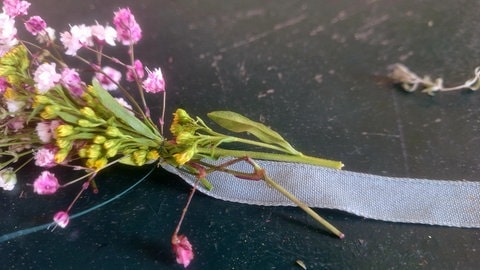 Blumenkopfkränzchen (Foto: Anna Tschorn) Blumenkopfkränzchen