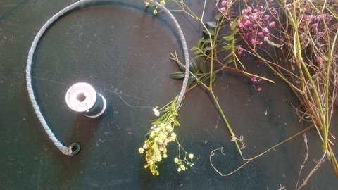 Blumenkopfkränzchen (Foto: Anna Tschorn) Blumenkopfkränzchen