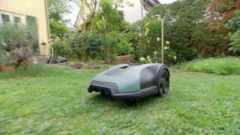 Mähroboter beim Befahren und Mähen einer Rasenfläche (Foto: SWR) Mähroboter beim Befahren und Mähen einer Rasenfläche