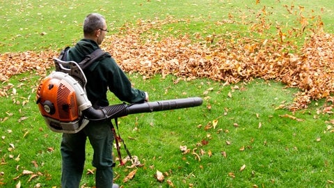 Mit einem Laubbläser treibt ein Gärtner das Herbstlaub in einem Park zusammen. (Foto: dpa Bildfunk, picture alliance/Christian Charisius/dpa) Mit einem Laubbläser treibt ein Gärtner das Herbstlaub in einem Park zusammen.