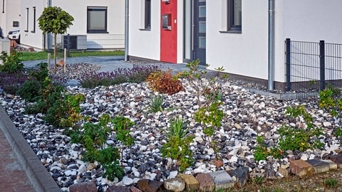 Schottergarten in einer Neubausiedlung (Foto: IMAGO, IMAGO / STAR-MEDIA)