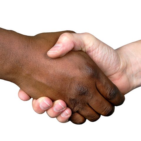 Handschlag einer schwarzen und einer weißen Hand: Menschenrassen gibt es nicht (Foto: IMAGO, imago images / Shotshop)