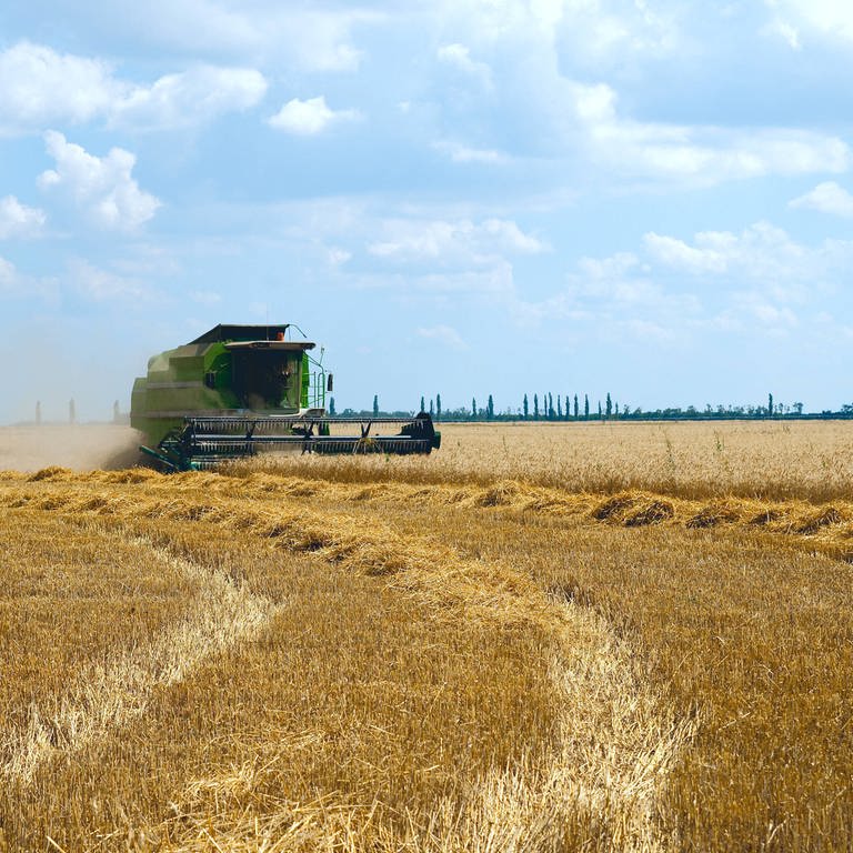 Erntezeit im Süden der Ukraine: Die Ukraine wird auch "Kornkammer Europas" genannt. Grund sind die guten Böden. (Foto: IMAGO, IMAGO / YAY Images)