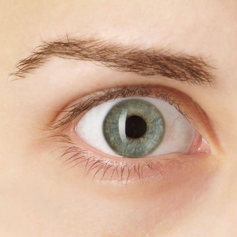 Weit geöffnetes Auge: Lidzucken kann verschiedene Gründe haben, und es ist nicht immer so leicht zu erkennen, woran es genau liegt. Normalerweise zuckt nur das rechte oder linke Auge, und dann auch nur das obere oder untere Augenlid.