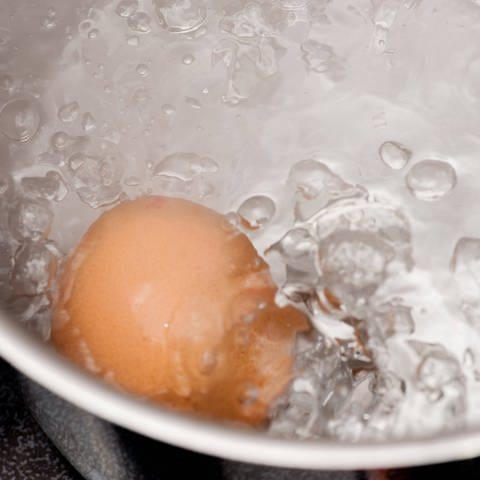 Ei kocht im Wasser (Foto: IMAGO, imago images / blickwinkel)