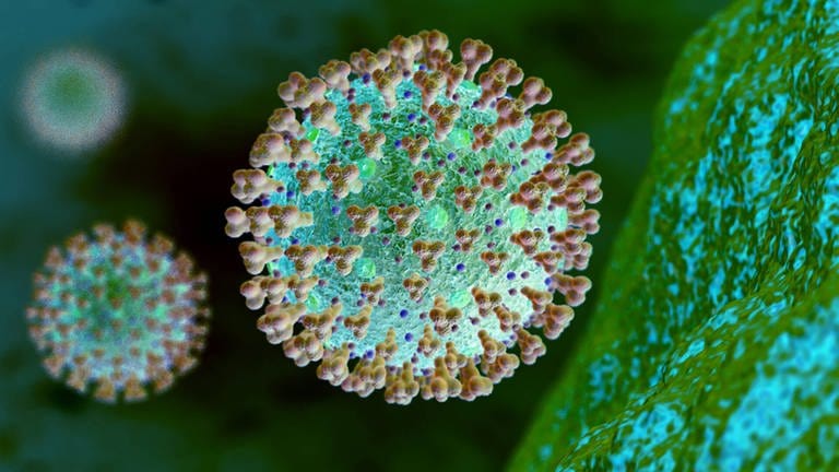 Corona-Virus, Mikroskopische Ansicht
