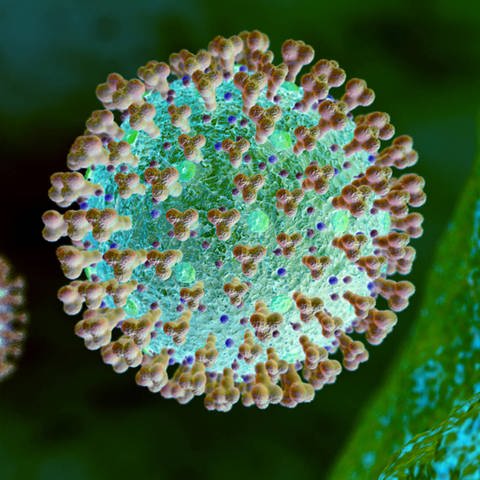 Corona-Virus, Mikroskopische Ansicht
