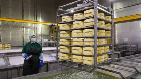 Molke ist die wässrig gelbe Restflüssigkeit, die bei der Käseherstellung entsteht. Sie kann dafür genutzt werden, aus Elektroschrott Gold zu recyceln.