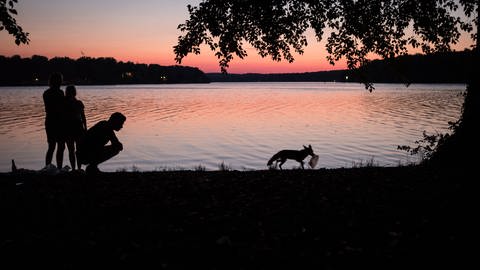 Jugendliche beobachten einen Fuchs an einem See bei Sonnenuntergang.